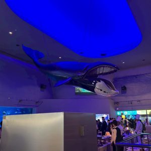 LINE_ALBUM_Lamp_250718_14