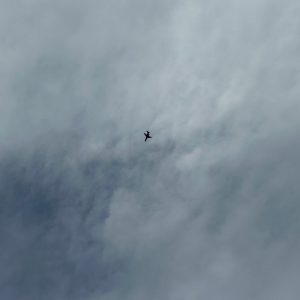 LINE_ALBUM_Lamp_250718_18